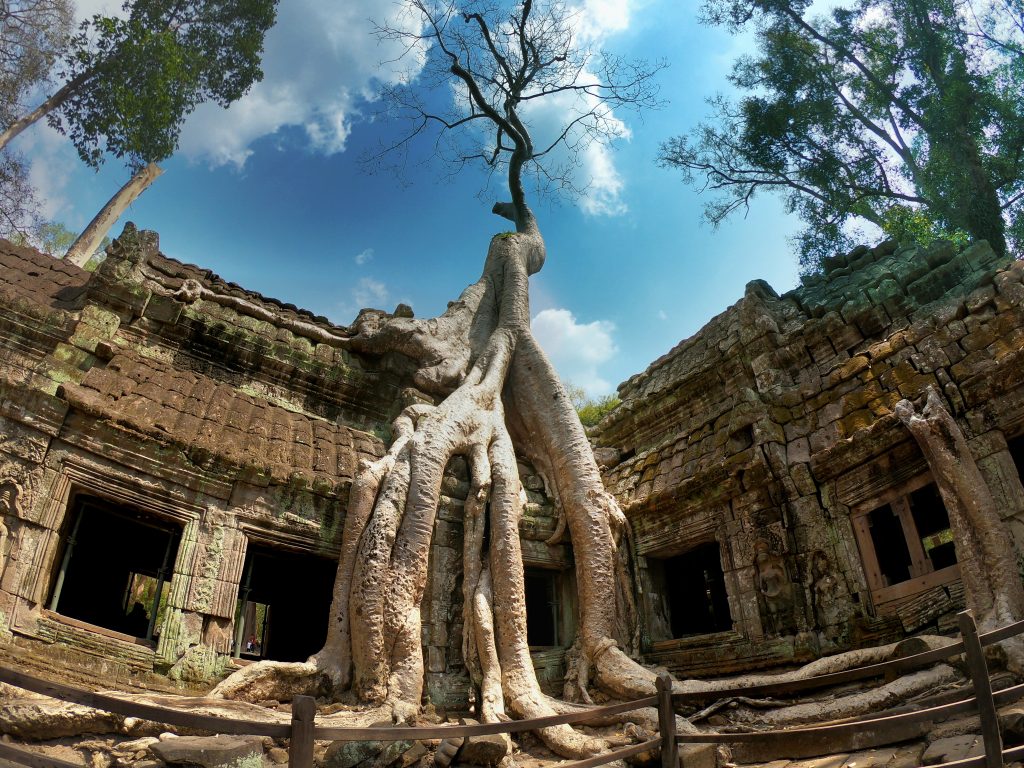 GIPSY CAMBOGIA: 10 GIORNI PER INNAMORARSI 19 GIPSY CAMBOGIA: 10 GIORNI PER INNAMORARSI 18