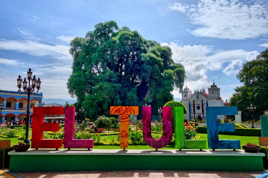 OAXACA E PUEBLA: DUE CITTA' CHE RACCHIUDONO L'ANIMA DEL MESSICO 2 OAXACA E PUEBLA: DUE CITTA' CHE RACCHIUDONO L'ANIMA DEL MESSICO 2